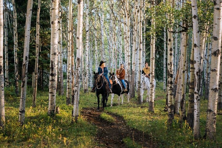 Valley Vista Horseback Trail Ride — 1.5 Hour Kananaskis Riding Experience photo 2