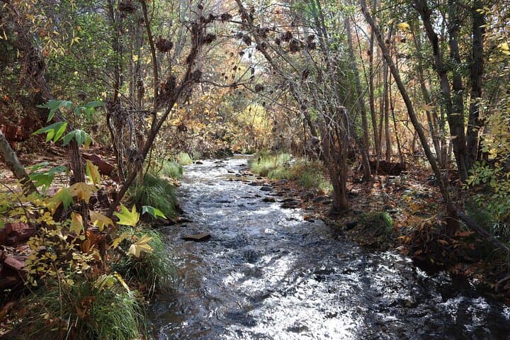 Exploring Sedona’s Red Rocks: An Easy Hiking Tour with a Local Guide photo 3