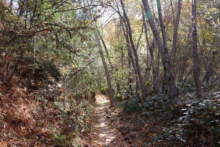 Exploring Sedona’s Red Rocks: An Easy Hiking Tour with a Local Guide photo 6