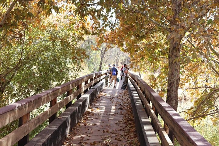 Exploring Sedona’s Red Rocks: An Easy Hiking Tour with a Local Guide photo 4