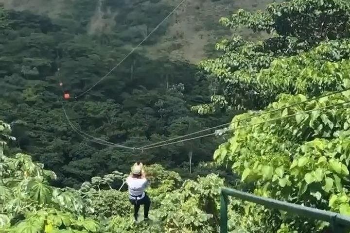 Zipline Adventure in Punta Cana: Canopy Runs, Coffee Tasting & Local Culture photo 4