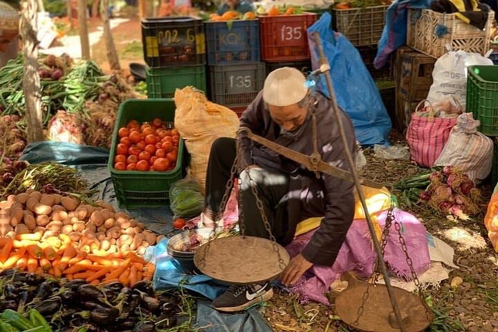 Atlas Mountains and Agafay Desert Day Trip from Marrakesh photo 6