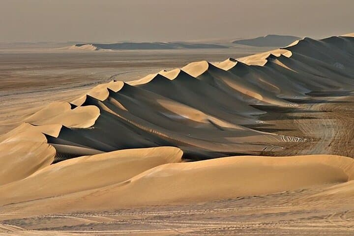 Doha Desert ATV Adventure: Dune Buggy, Quad Bike, Camel Ride & Dune Bashing photo 5