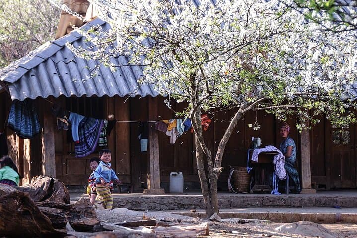 Exploring Dong Van Karst Plateau: 5-Day Geopark Tour from Hanoi photo 2