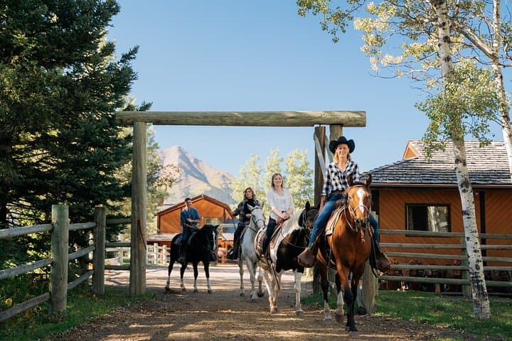 Valley Vista Horseback Trail Ride — 1.5 Hour Kananaskis Riding Experience