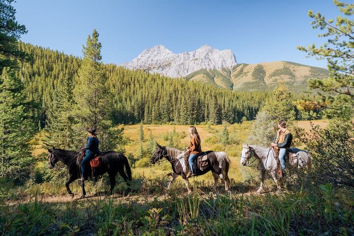 Valley Vista Horseback Trail Ride — 1.5 Hour Kananaskis Riding Experience photo 3