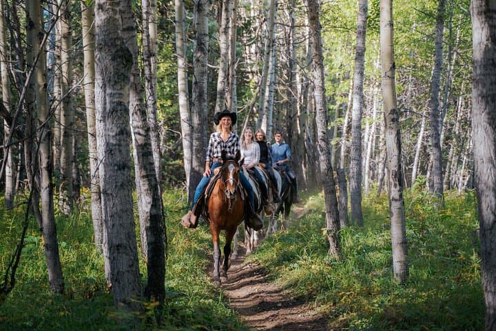 Valley Vista Horseback Trail Ride — 1.5 Hour Kananaskis Riding Experience photo 4