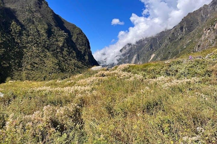 Langtang Valley Trek 8 Days from Kathmandu | Kyanjin Gompa & Kyanjin Ri photo 3