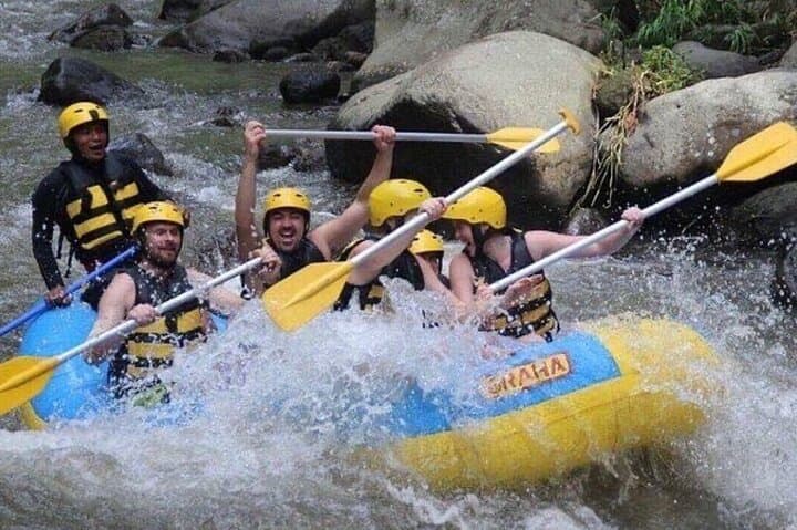 Ayung River Rafting in Ubud — 10km Jungle Rapids, Waterfalls & Cultural Carvings photo 4