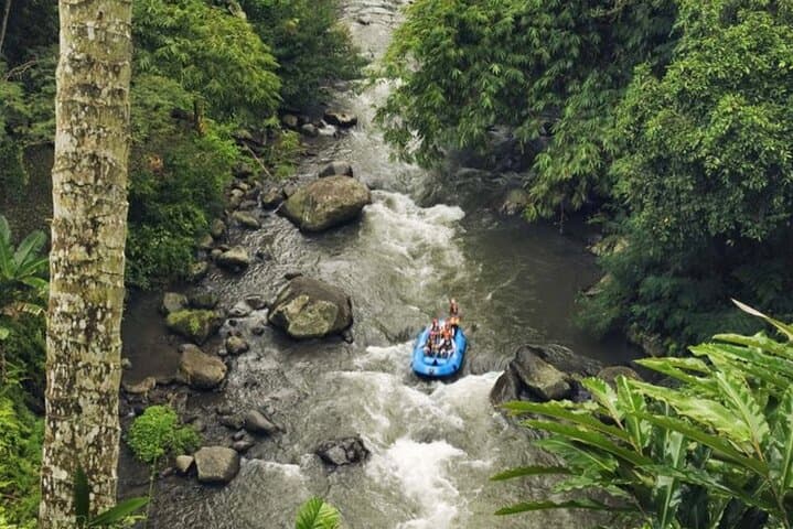 Ayung River Rafting in Ubud — 10km Jungle Rapids, Waterfalls & Cultural Carvings photo 5