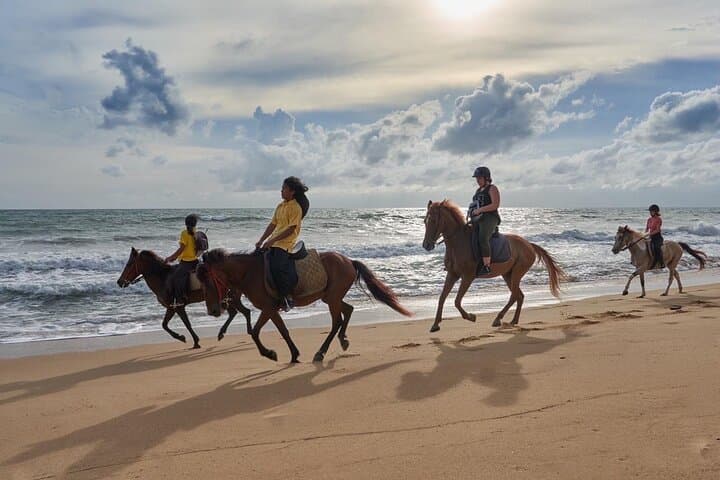 Canter Kamala: Phuket Beach Horse Riding Adventure photo 2