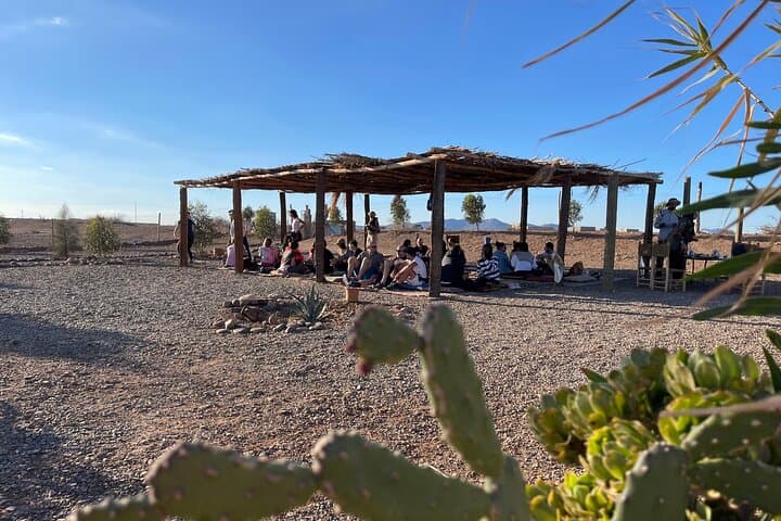 Oasis Bicycle Tour in Marrakech Palmeraie — 3–4 Hour Guided Ride photo 3
