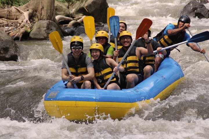 Ayung River Rafting from Ubud — Jungle Rapids, Lunch & Private Transfers photo 3