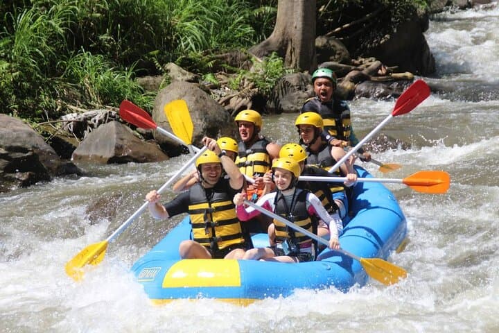 Ayung River Rafting from Ubud — Jungle Rapids, Lunch & Private Transfers