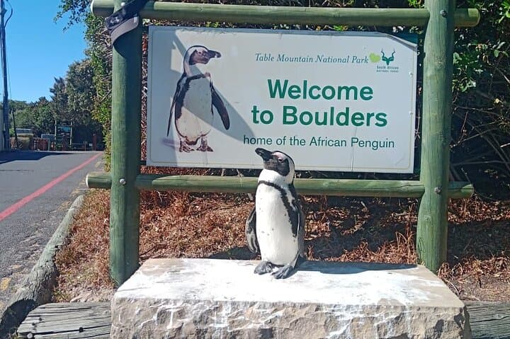 Cape Peninsula Private Tour: Table Mountain, Boulders Beach & Cape Point photo 6