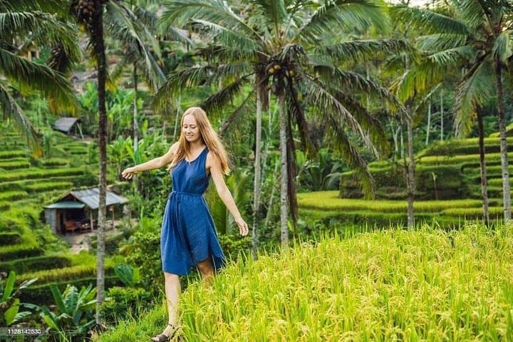 Private Day Tour: Ubud to Tanah Lot — Monkey Forest, Tegalalang & Sunset Temple photo 3