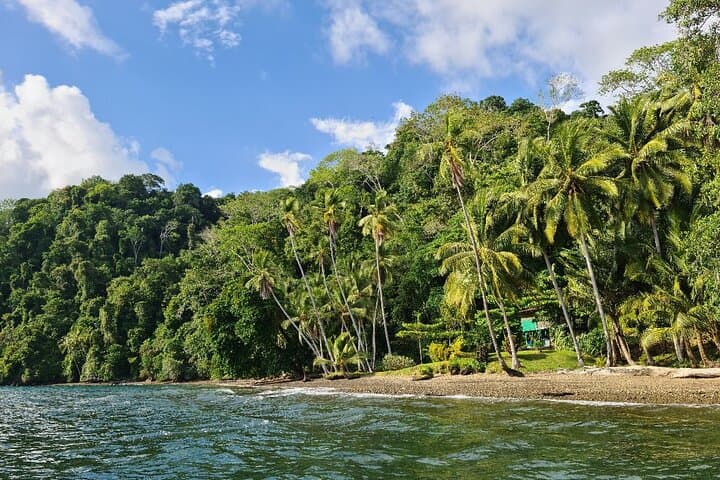 3-Day Kayak & Camping in Golfo Dulce — Paddles, Reefs & Mangrove Wilderness