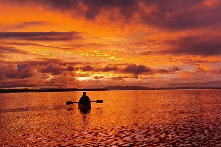 3-Day Kayak & Camping in Golfo Dulce — Paddles, Reefs & Mangrove Wilderness photo 3