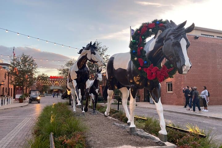 Fort Worth Highlights Tour: Stockyards Cattle Drive, Sundance Square & Old West History photo 4