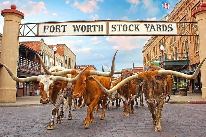Dallas & Fort Worth Highlights: Private Day Tour of JFK Sites, Stockyards & City Icons photo 2