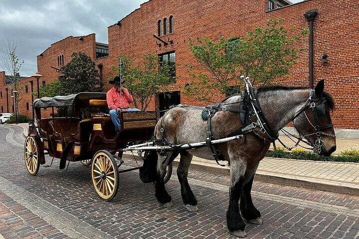 Fort Worth Stockyards & Southfork Ranch Combo Tour — Cowboys, Cattle and TV History photo 4