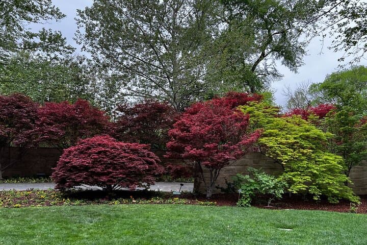 exploring-dallas-arboretum-botanical-gardens-guided-tour photo 4
