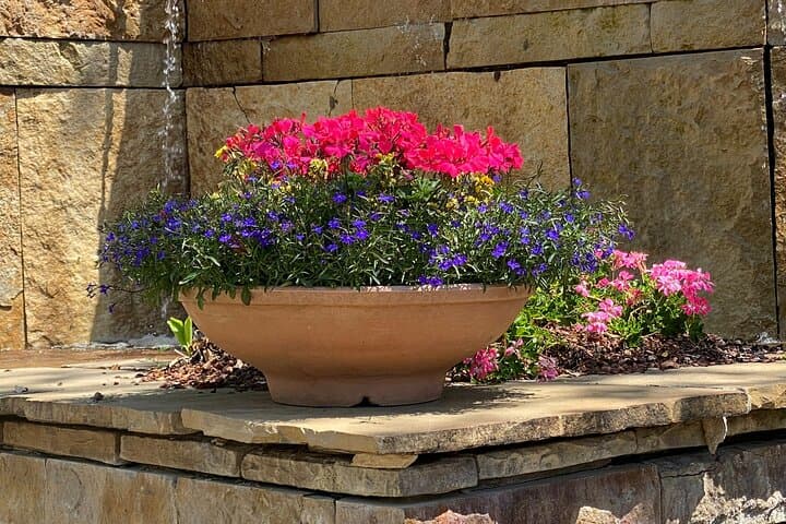 exploring-dallas-arboretum-botanical-gardens-guided-tour photo 6