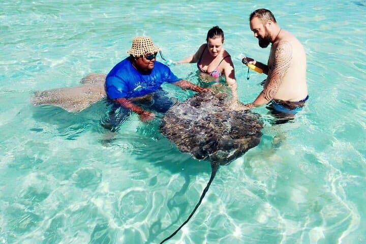 Moorea Half‑Day Snorkel: Swim with Turtles & Stingrays in a Pristine Lagoon