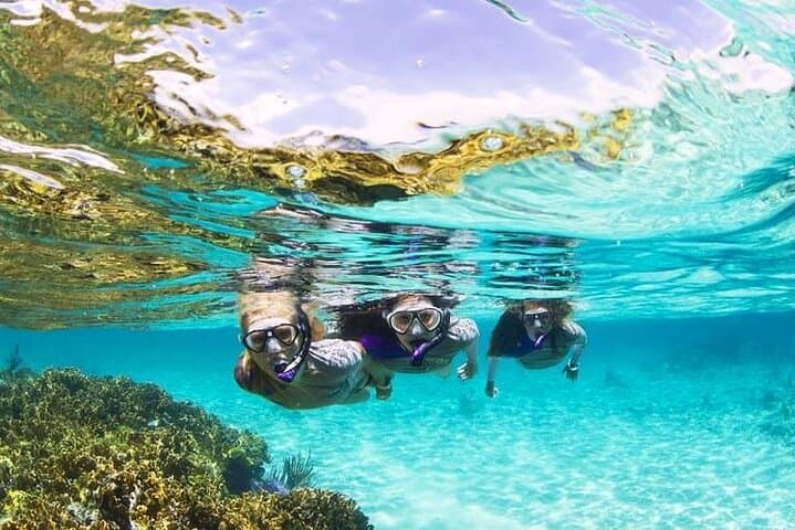 Montego Bay Boat Snorkel and Margaritaville Hip Strip Excursion photo 4