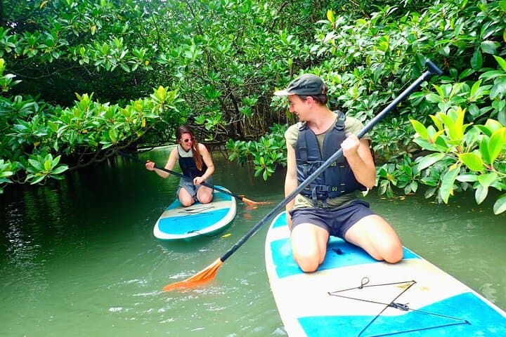 Ishigaki Mangrove SUP & Blue Cave Snorkeling — Miyara River to Underwater Caverns photo 4