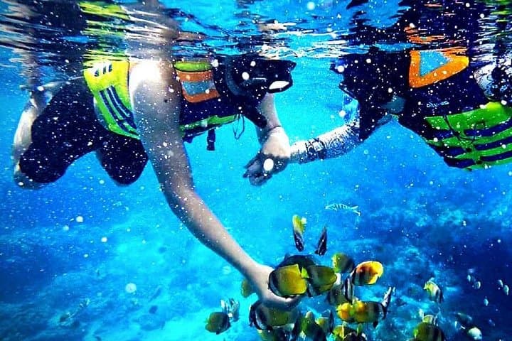 Blue Lagoon Bali Snorkeling — All‑Inclusive Trip to Tanjung Jepun photo 3