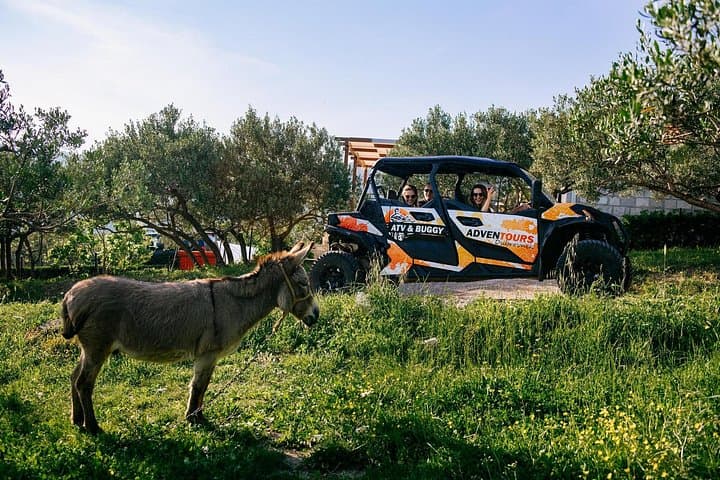 Dubrovnik Buggy Safari: Private Can-Am Trail Tour to Srd Hill photo 5