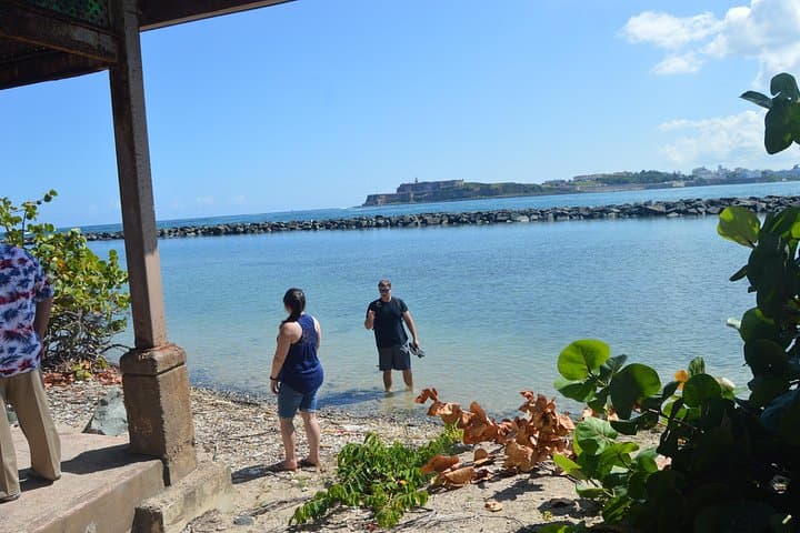 Inside Puerto Rico: Half-Day Local-Led Cultural Tour from San Juan photo 1
