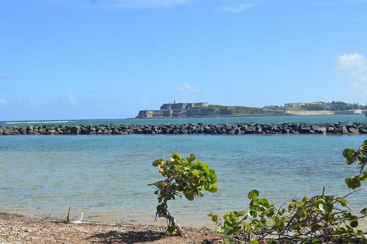 Inside Puerto Rico: Half-Day Local-Led Cultural Tour from San Juan photo 4