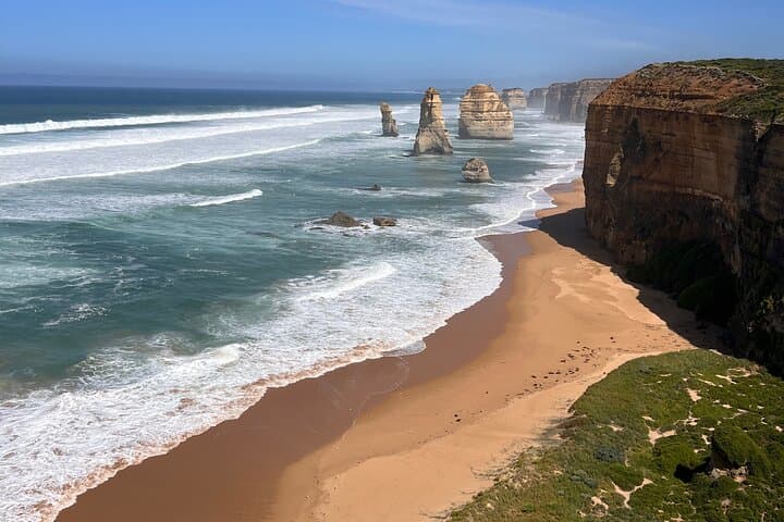 Great Ocean Road Private Day Tour: Twelve Apostles, Rainforest & Wild Coastal Wildlife