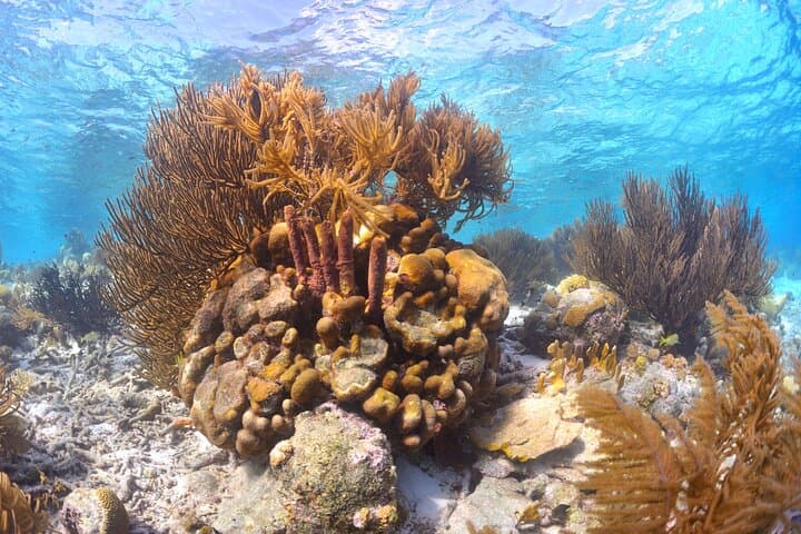Private Bonaire Yacht Charter: Sail, Snorkel & Relax in the Marine Park photo 4