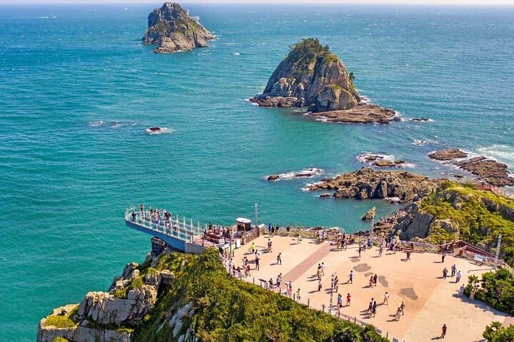 Busan Korean BBQ and Oryukdo Skywalk Tour — Markets, Coastal Views & Local Eats photo 2