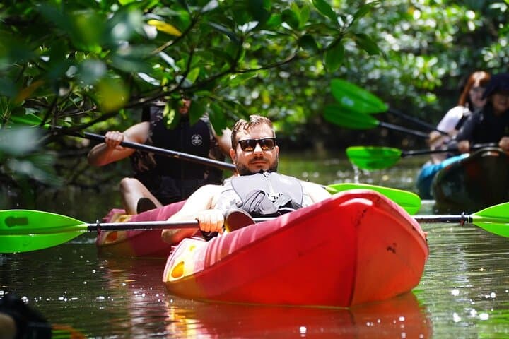 Iriomote Mangrove SUP, Canoe & Splash Canyoning Day Tour from Ishigaki photo 4