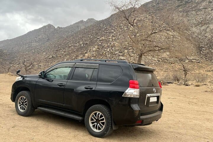 Semi-Gobi Day Trip: Private Jeep Tour to Elsen Tasarkhai & Khogno Khan
