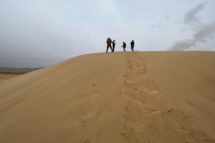 Semi-Gobi Day Trip: Private Jeep Tour to Elsen Tasarkhai & Khogno Khan photo 2
