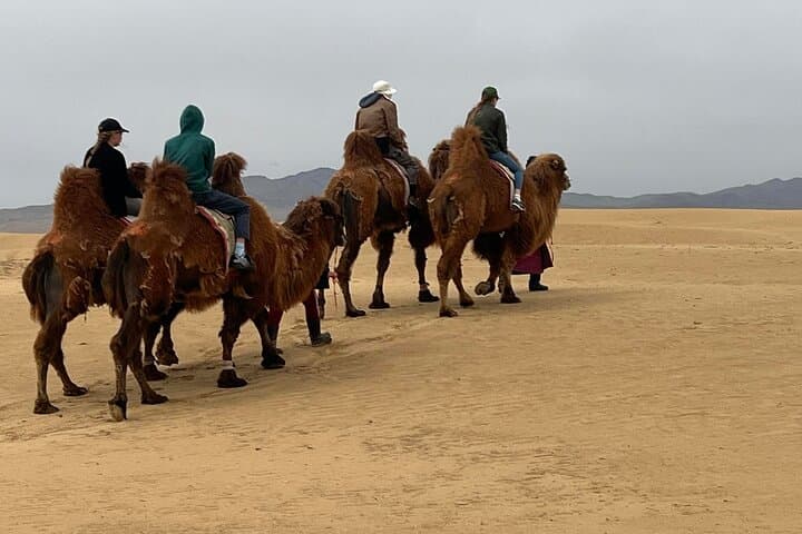 Semi-Gobi Day Trip: Private Jeep Tour to Elsen Tasarkhai & Khogno Khan photo 3