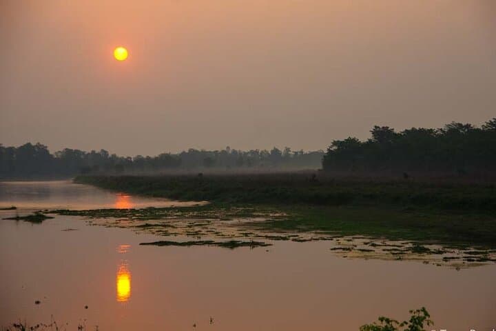 Chitwan Jungle Safari 2N3D: Rhino, Tiger & Tharu-Village Adventure