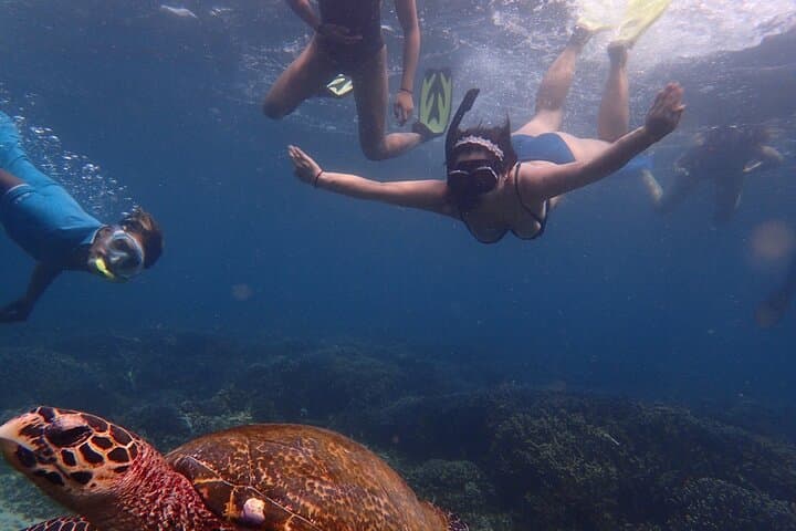 Private Snorkeling at Pigeon Island Trincomalee — Speedboat, GoPro & Guided Reefs photo 2