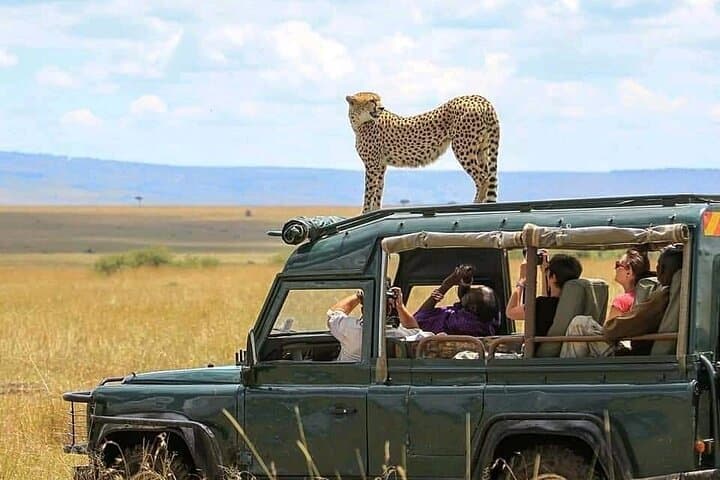 2-Day Tarangire & Ngorongoro Safari: Elephants, Crater Views, and Big Five Game Drives photo 1