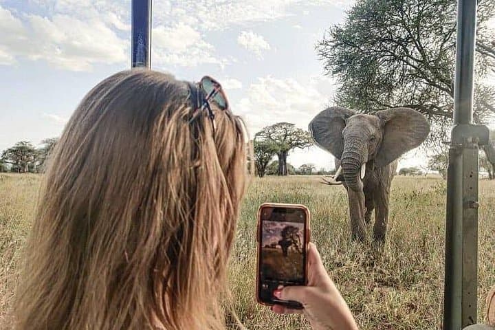 2-Day Tarangire & Ngorongoro Safari: Elephants, Crater Views, and Big Five Game Drives photo 2