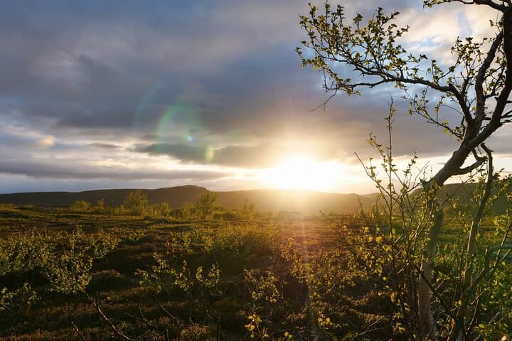 Lapland Bushcraft & Survival Day Camp: Firecraft, Navigation & Fishing photo 2