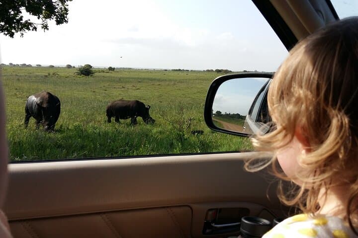 Full-Day Family Safari at Hluhluwe-iMfolozi Park — Big Five & Junior Ranger Adventure