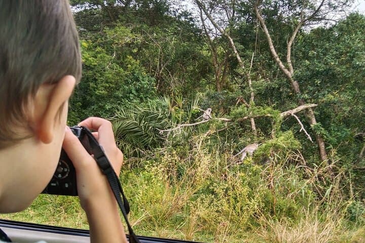 Full-Day Family Safari at Hluhluwe-iMfolozi Park — Big Five & Junior Ranger Adventure photo 2