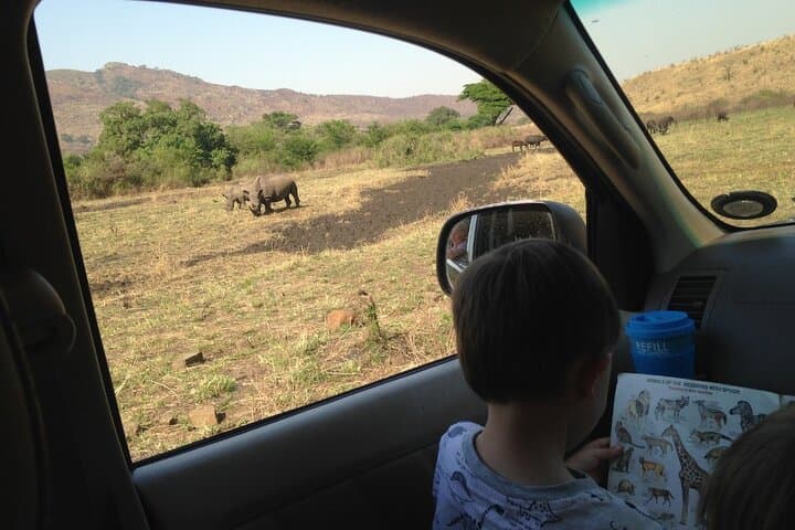 Full-Day Family Safari at Hluhluwe-iMfolozi Park — Big Five & Junior Ranger Adventure photo 3
