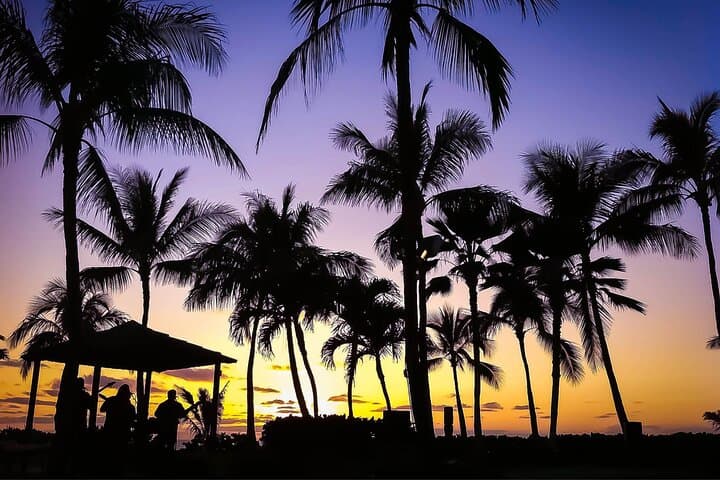 Oahu On Foot: Private Custom Walking Tours With Local Guides photo 4